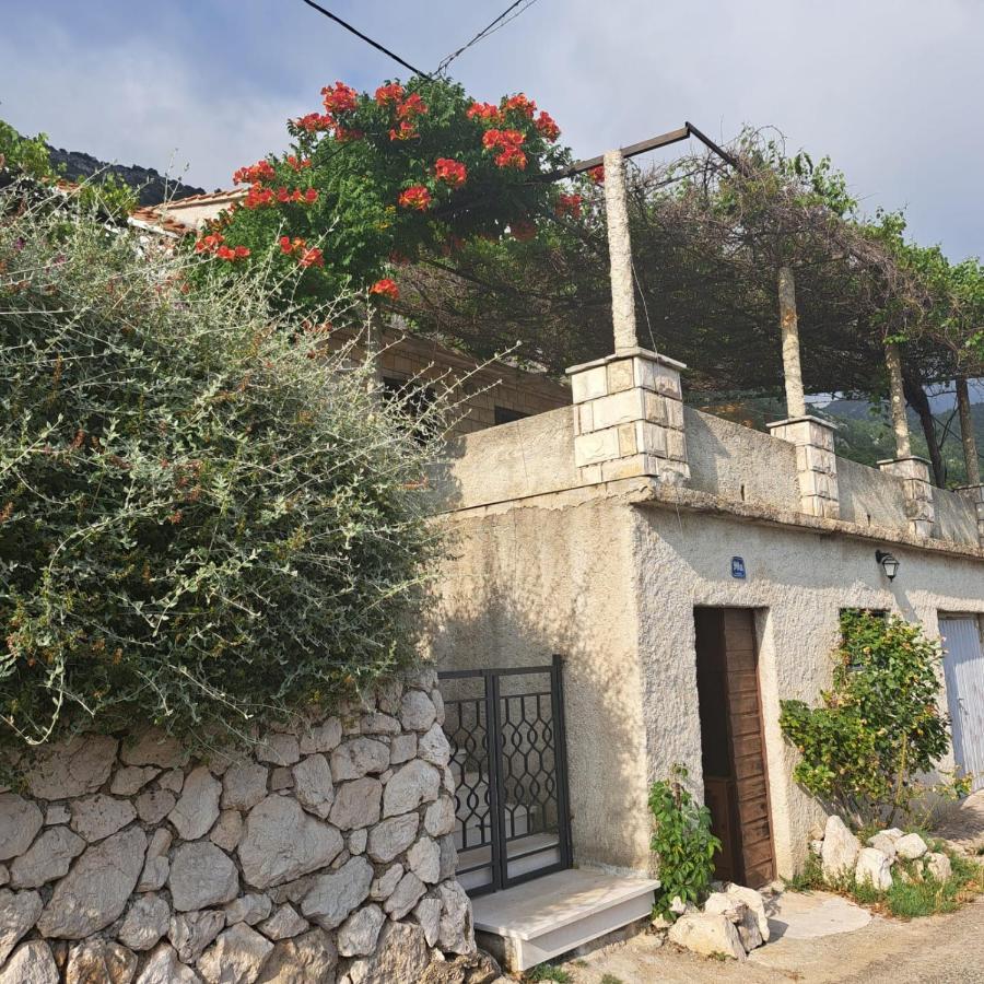 Guest House Tanja Babino Polje Ngoại thất bức ảnh
